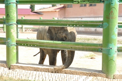 Zoo de Tashkent