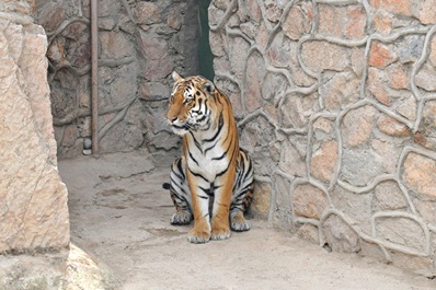Zoo de Tashkent