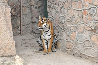 Tashkent Zoo