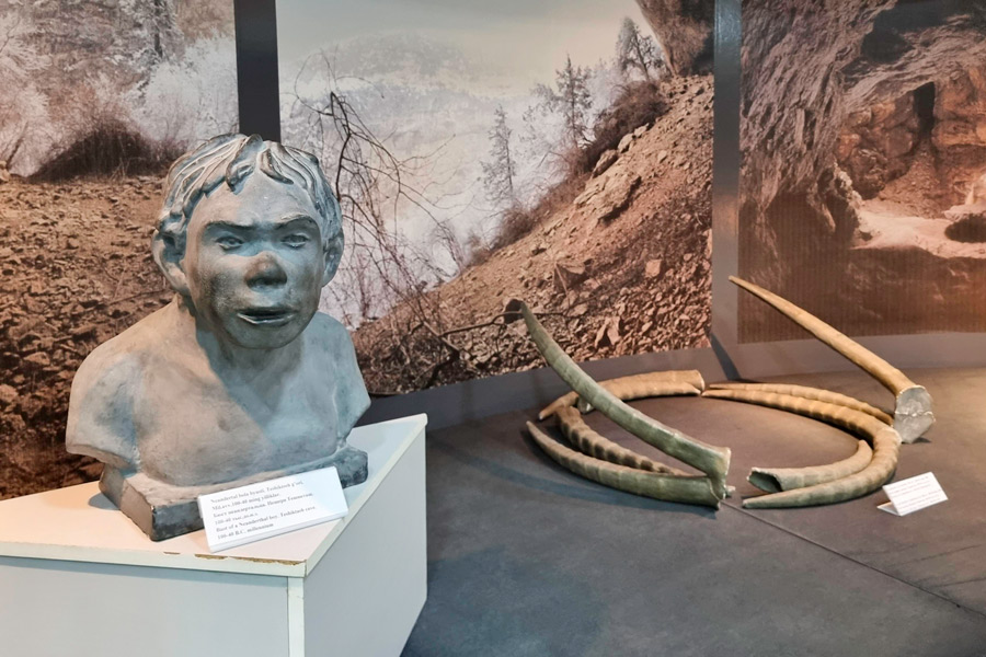 Termez Archaeological Museum