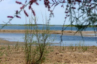 Ecoturismo in Uzbekistan