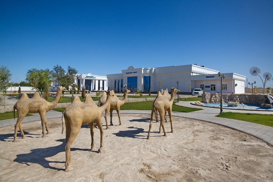 Музей Аральского моря в Муйнаке