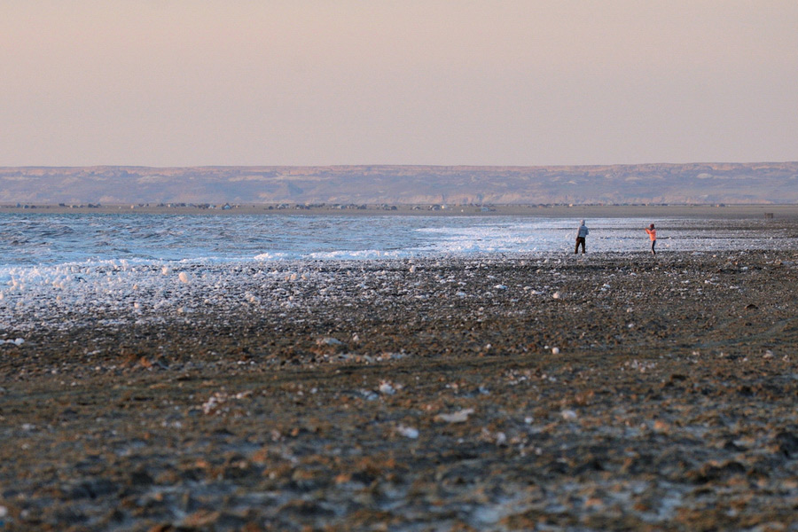 Shore of Aral sea
