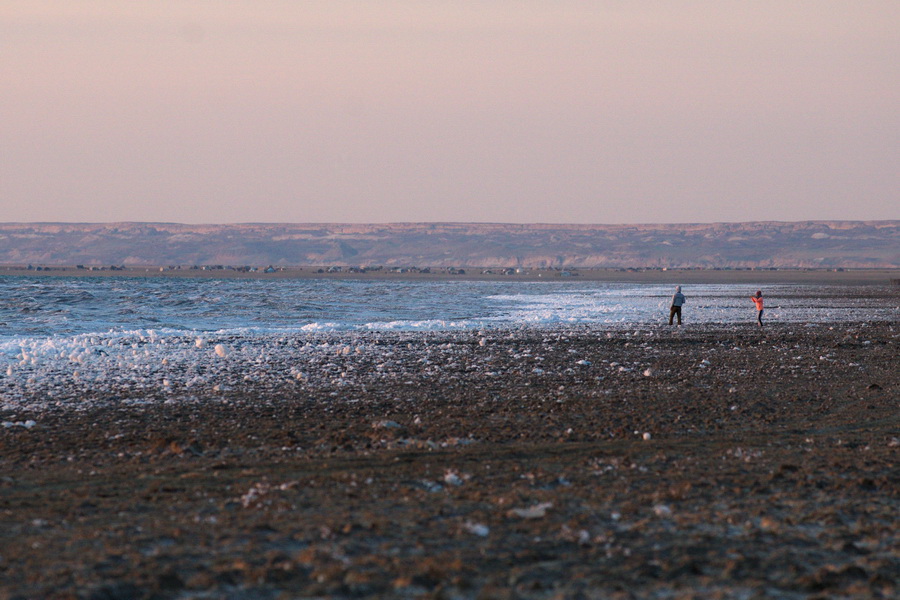 Aral Sea