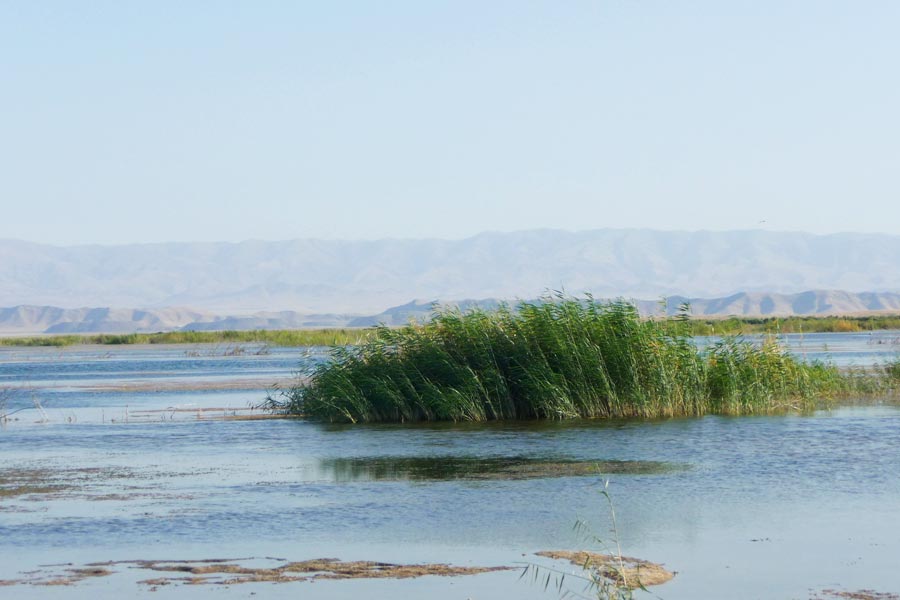 Айдаркуль