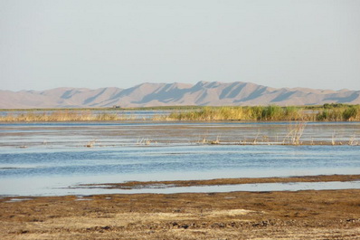 Айдаркуль