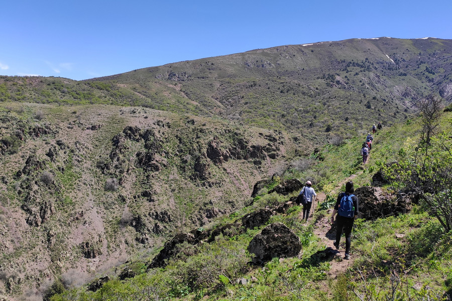 Sendero a través de la arboleda