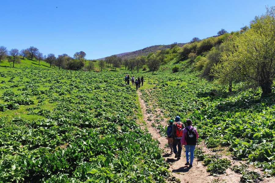 Sendero sobre el desfiladero