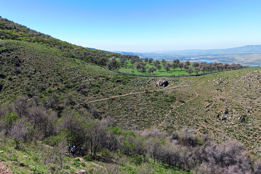 Sendero sobre el desfiladero