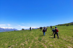 Trail through the meadow