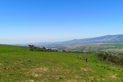 Sendero por la pradera