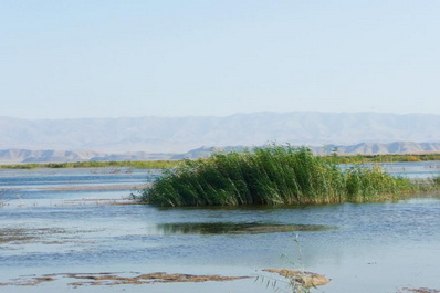 Lago Aidarkul