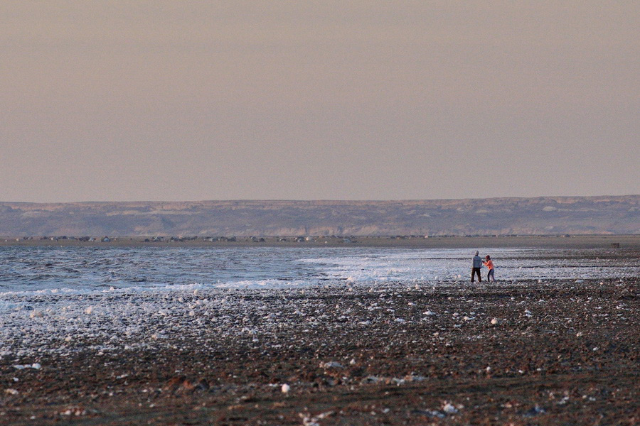 Aral sea