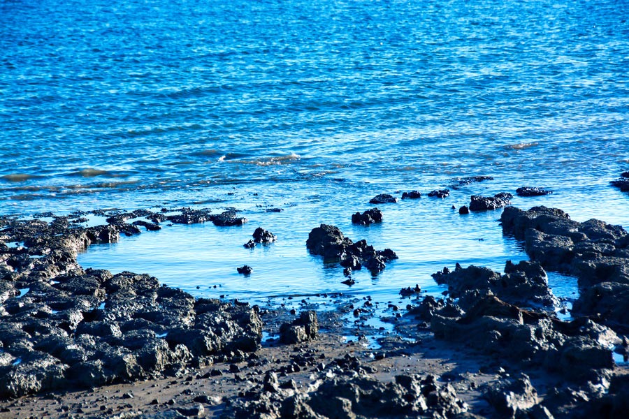 Aral sea