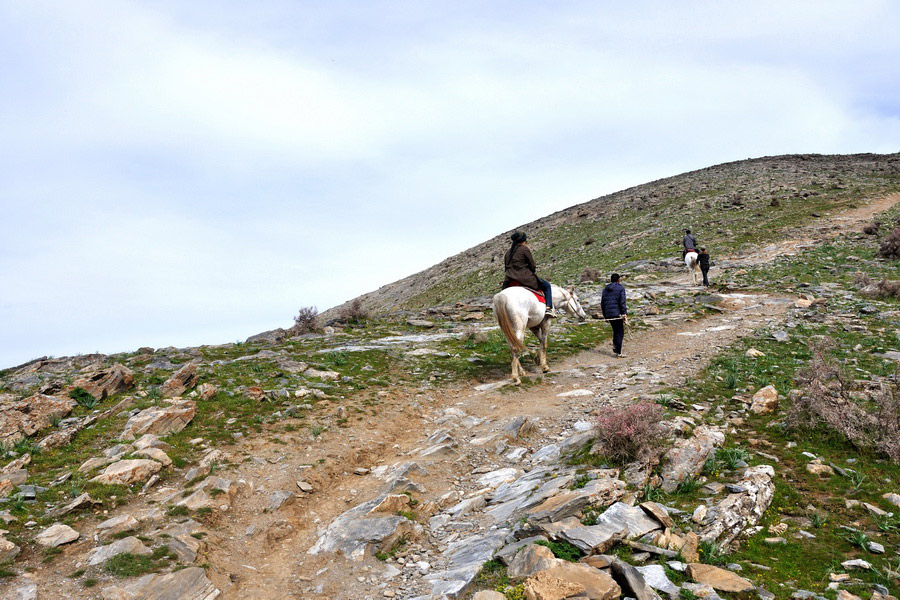 Horse riding