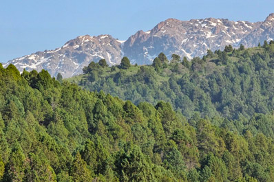 Чимганские горы