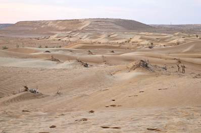 Desierto de Karakum