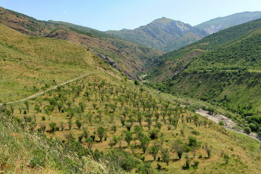 Camino a la gruta de Obi-Rakhmat