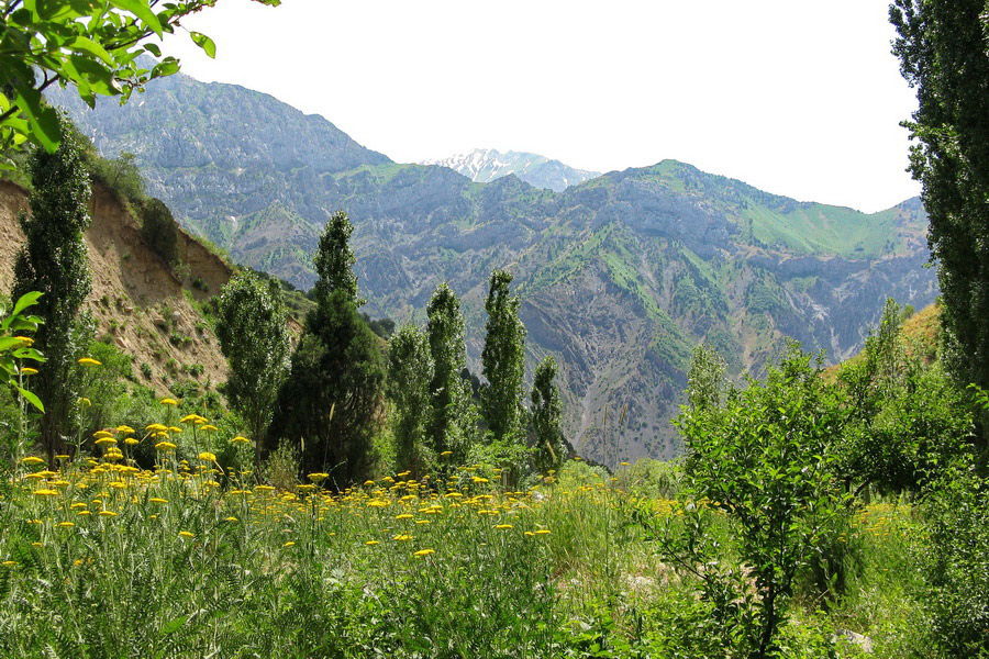 Road to Obi-Rakhmat Grotto