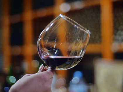 Тур на дегустацию вин в Шато Хамкор