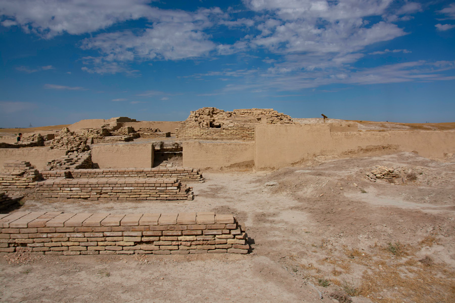 Руины мечети, городище Отрар