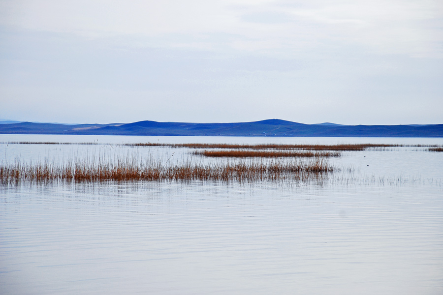 Fishing, Aydarkul