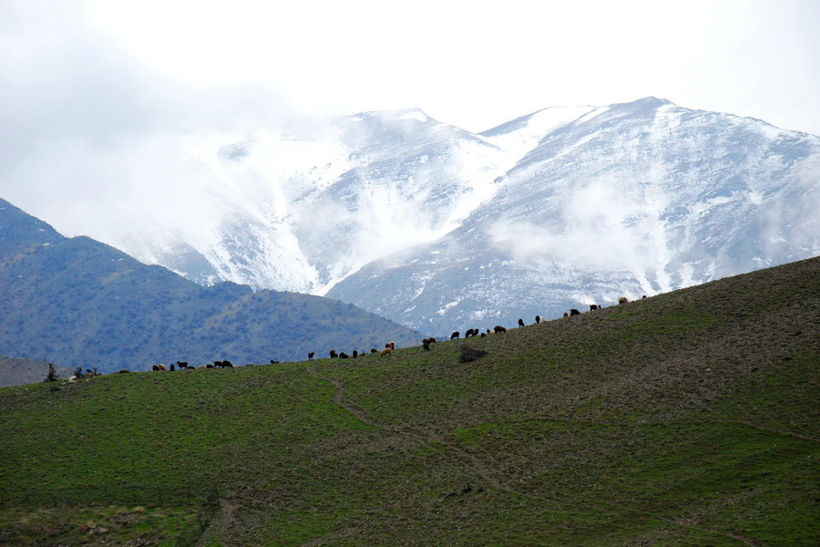 Les montagnes de Nourata