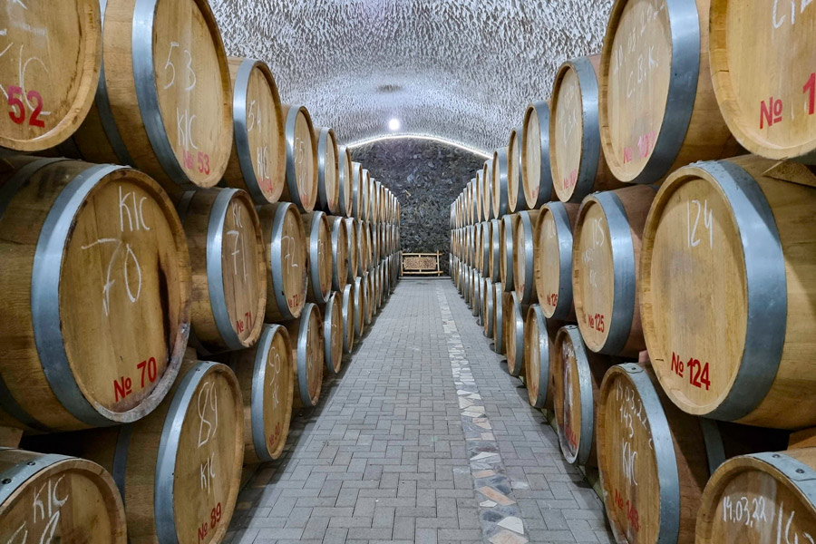 Bagizagan Winery near Samarkand