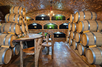 Bagizagan Winery near Samarkand