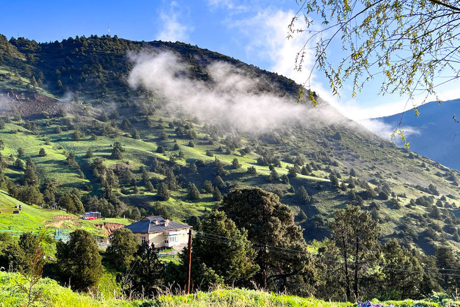 Panoramic View of Zaamin National Park