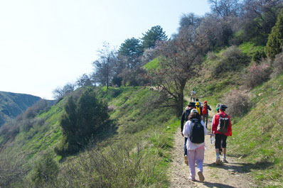 Camino de vuelta