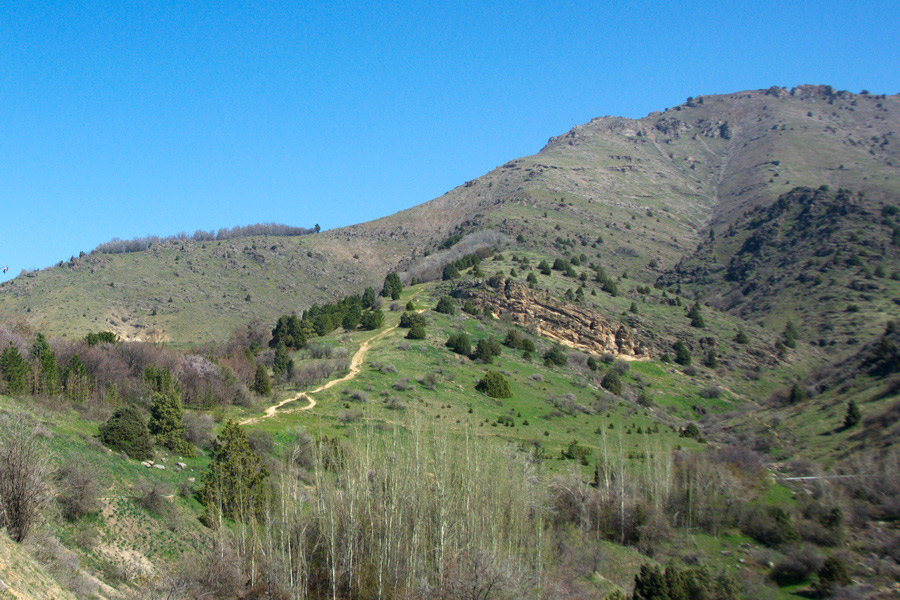 Camino a la cueva