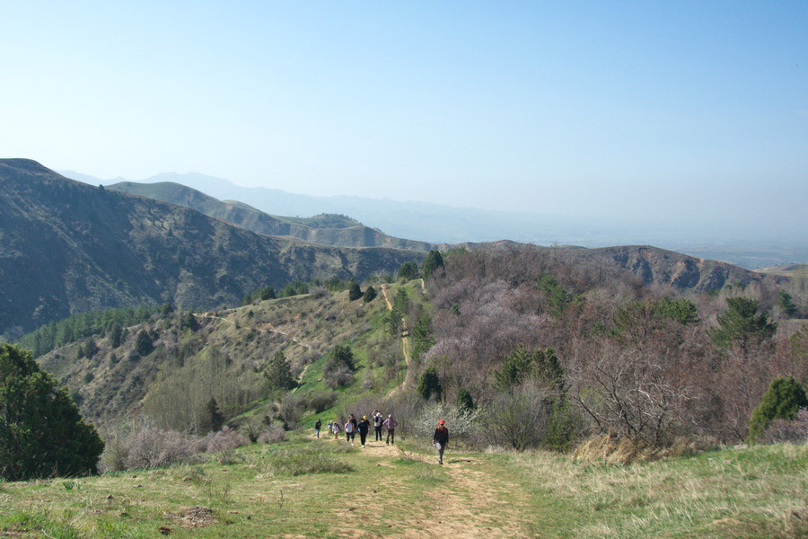 Path to the cave