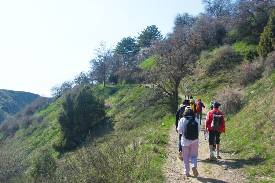 Camino de vuelta