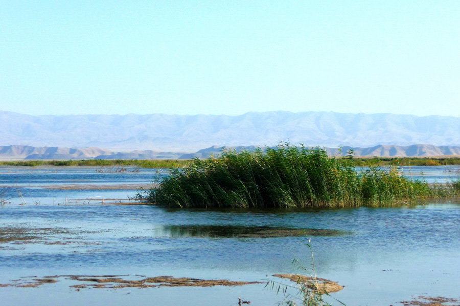 Aydarkul lake