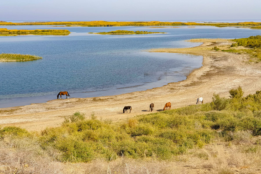 Lac Aydarkoul