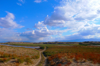 Les champs du lac Aydarkoul