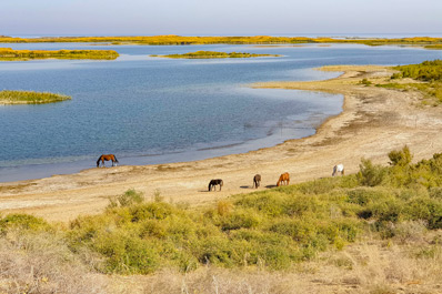 Lac Aydarkoul
