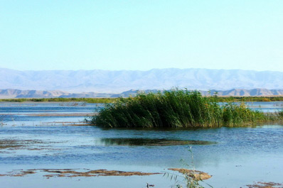 Lago Aydarkul