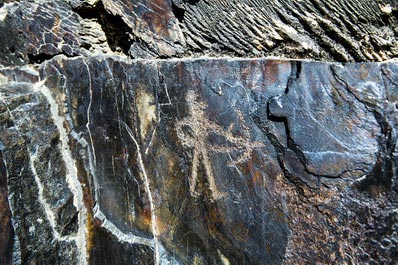 Petroglifos Sarmish-say