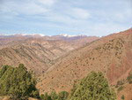 Panorama Yangiabad