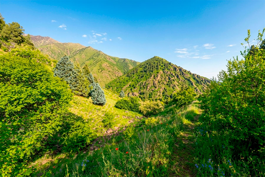 Mountains near the Chilten River, Yangiabad
