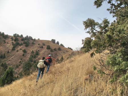 Mountain climbing