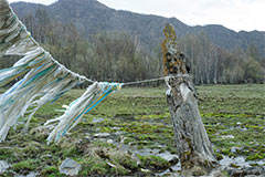 Dyalama Amulet-Ribbons, Altai