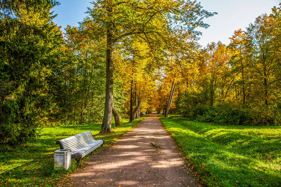 Upper Park, Oranienbaum