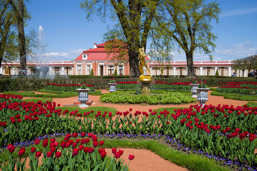 Дворцы Петергофа, Санкт-Петербург