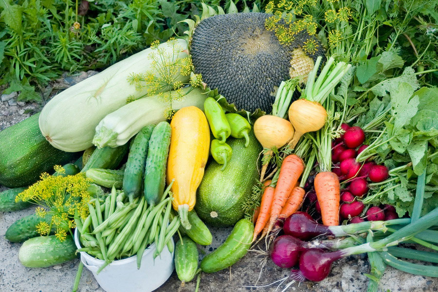 Plats de légumes russes