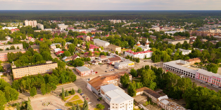 Гусь Хрустальный Фото Города