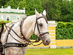 Kuskovo Estate, Moscow
